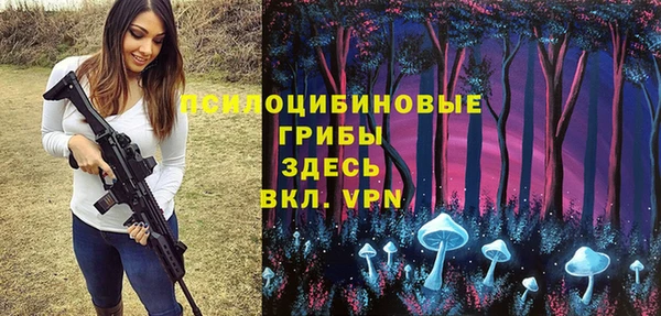 соль ск Алексин
