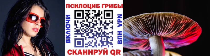 цены   Калязин  Псилоцибиновые грибы Cubensis 