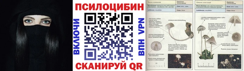 Галлюциногенные грибы MAGIC MUSHROOMS Калязин